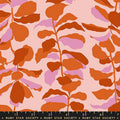 Calathea Cotton Cayenne RS5186 12 Ruby Star#1