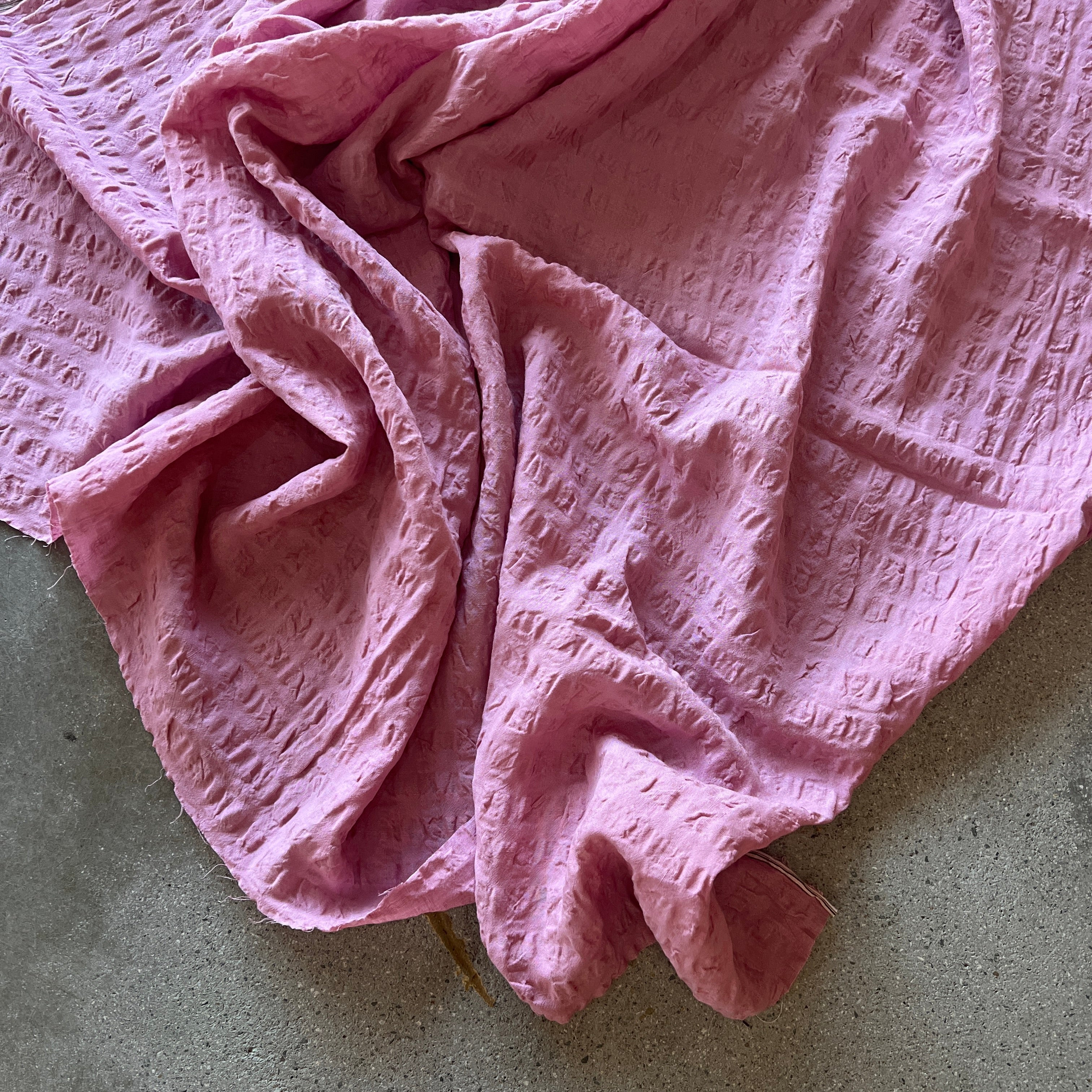 Melaleuca Pink