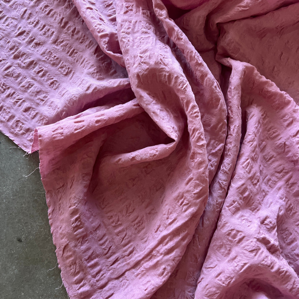 Melaleuca Pink