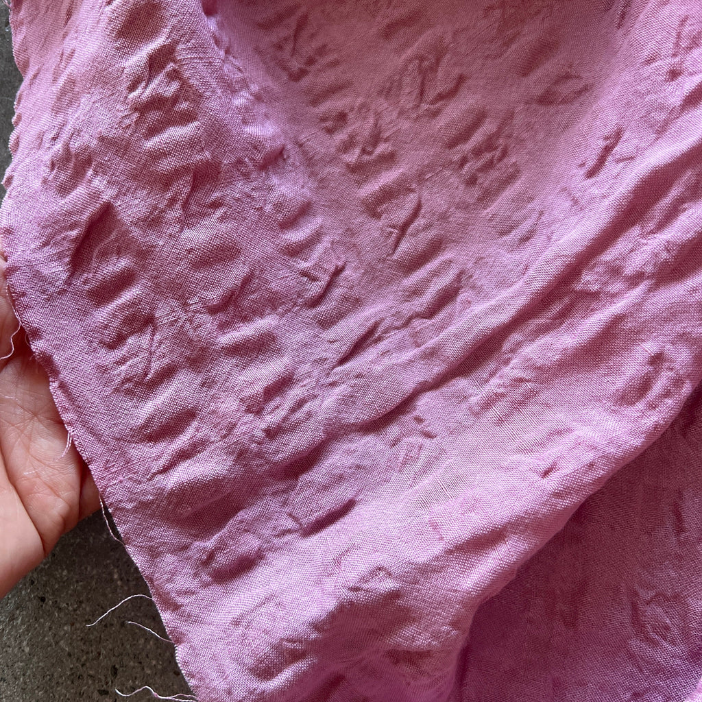 Melaleuca Pink