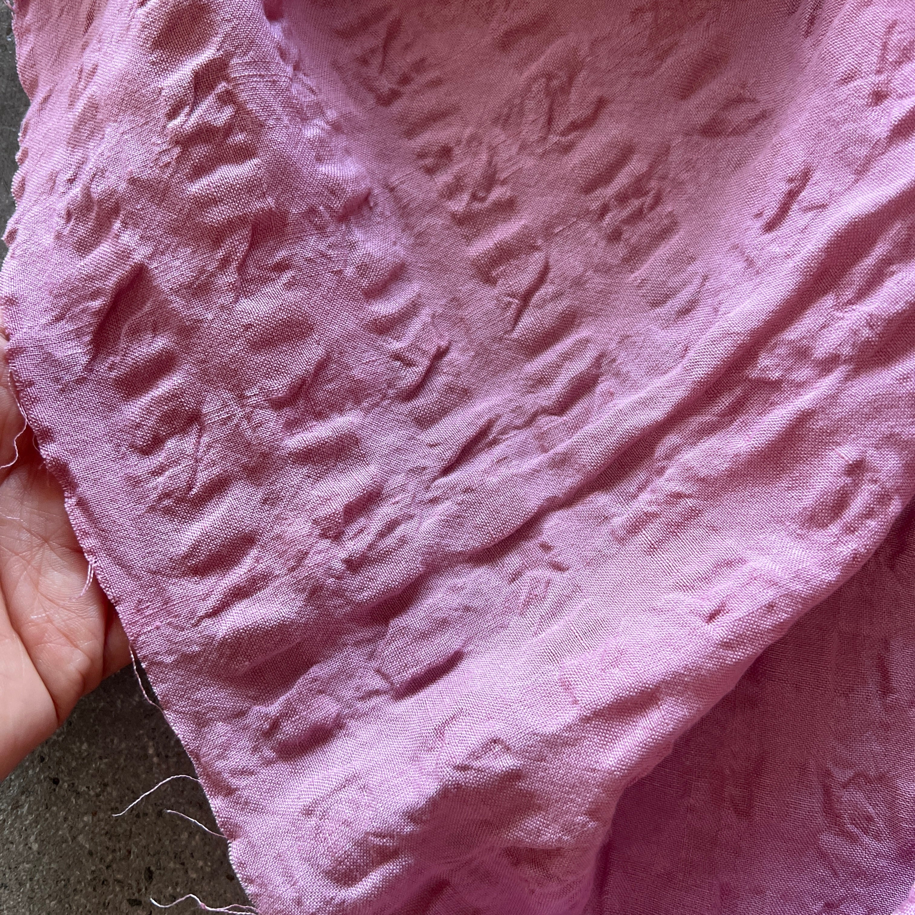 Melaleuca Pink