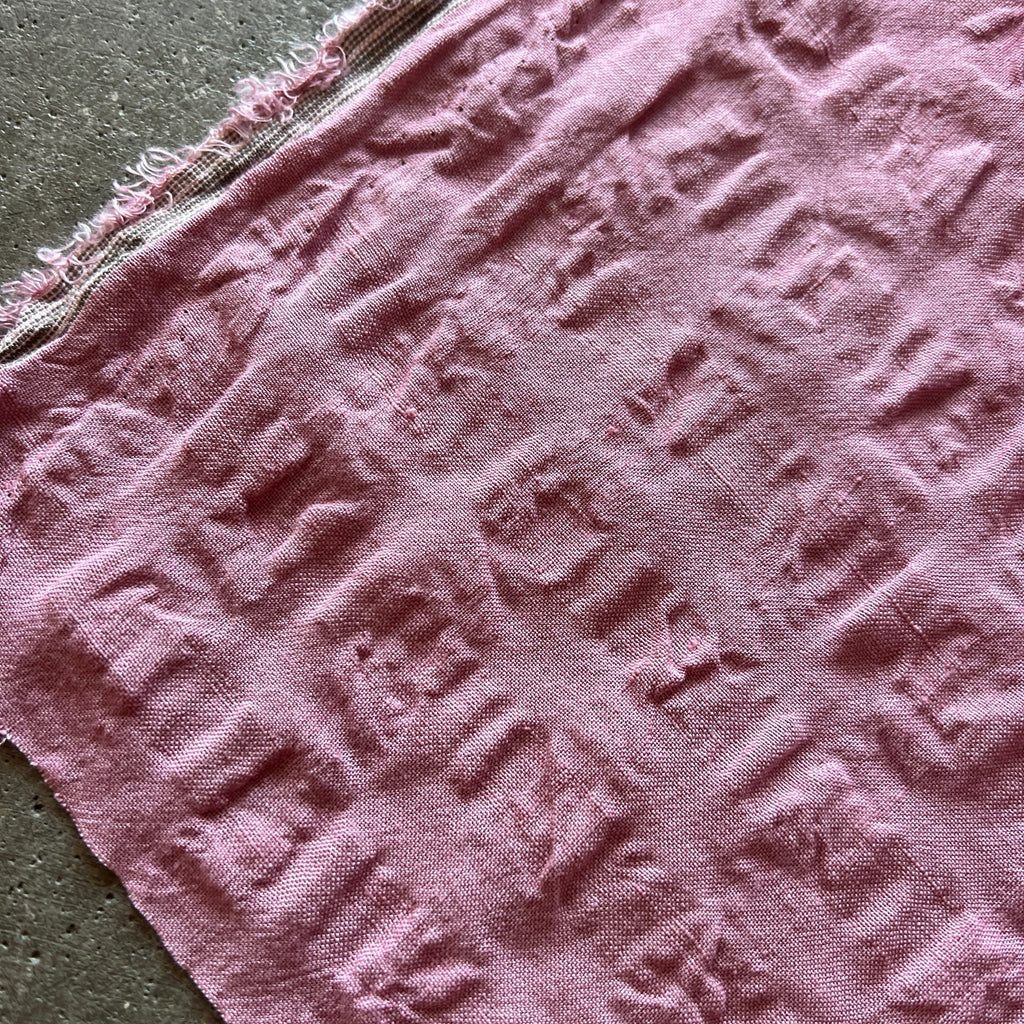 Melaleuca Pink