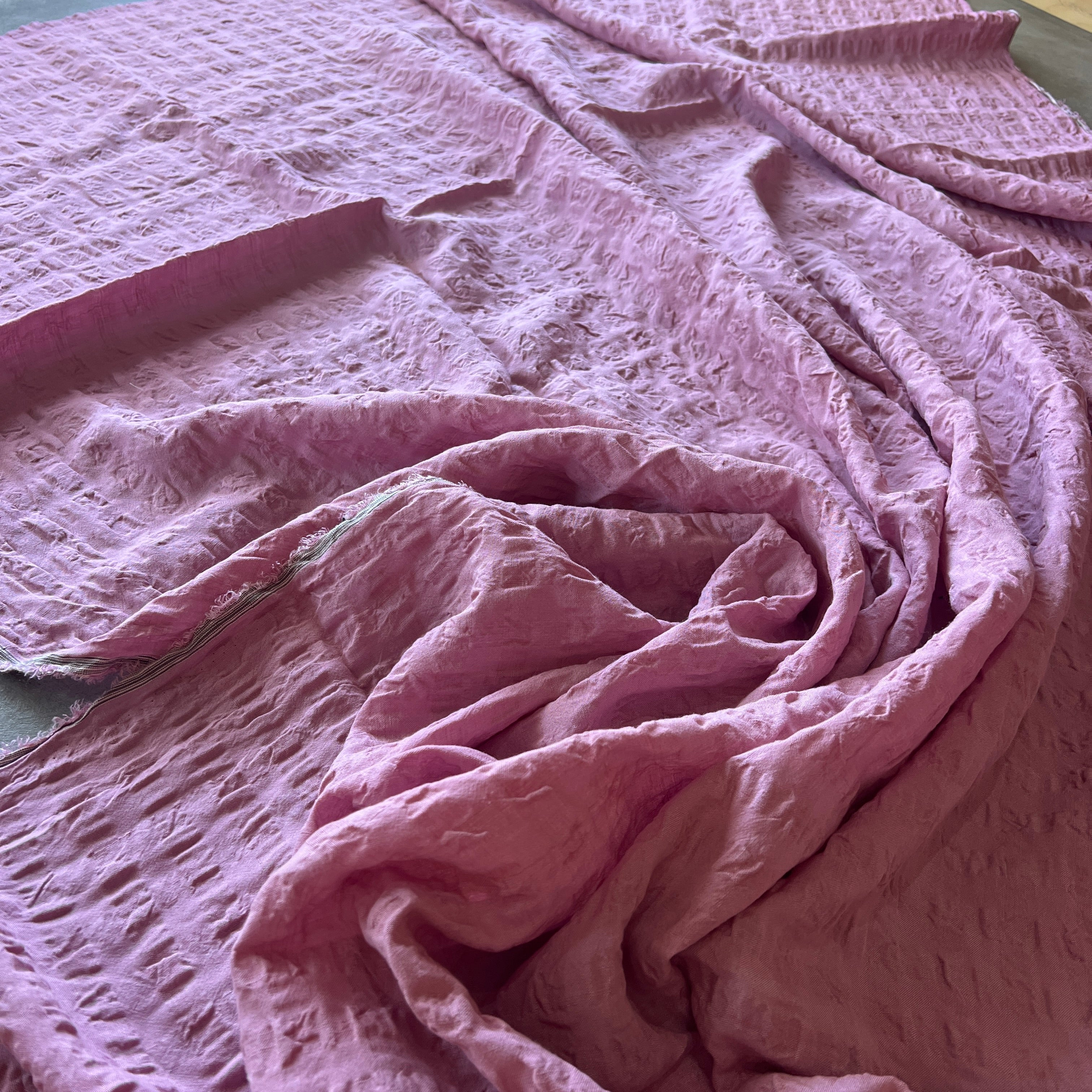 Melaleuca Pink
