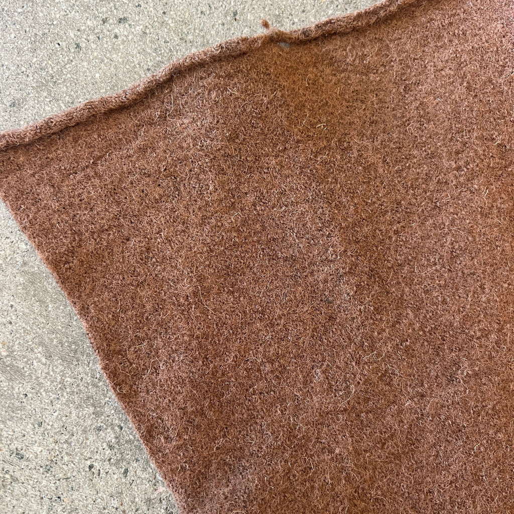 Callistemon Nutmeg