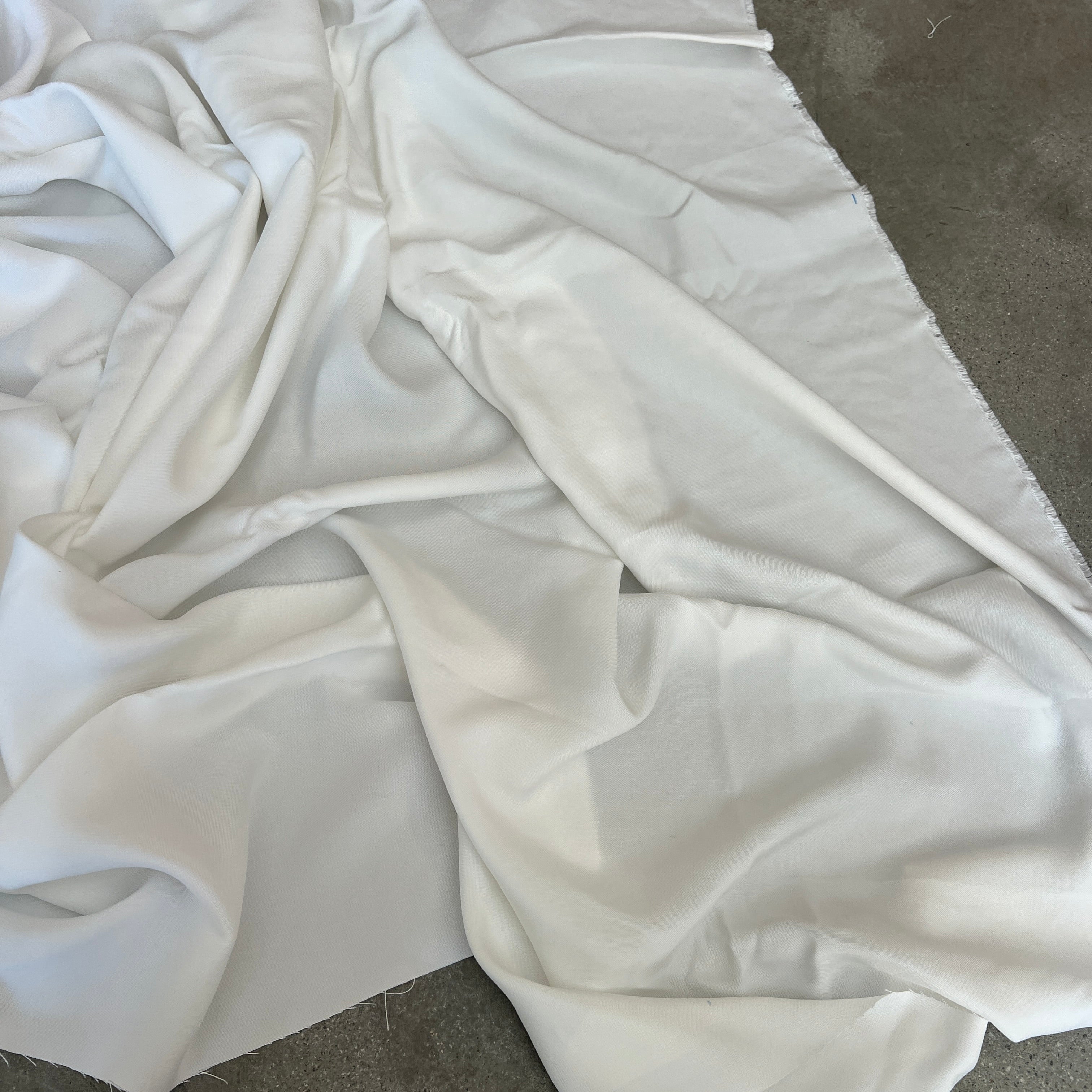 Sheoak Ivory