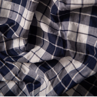 Navy Check