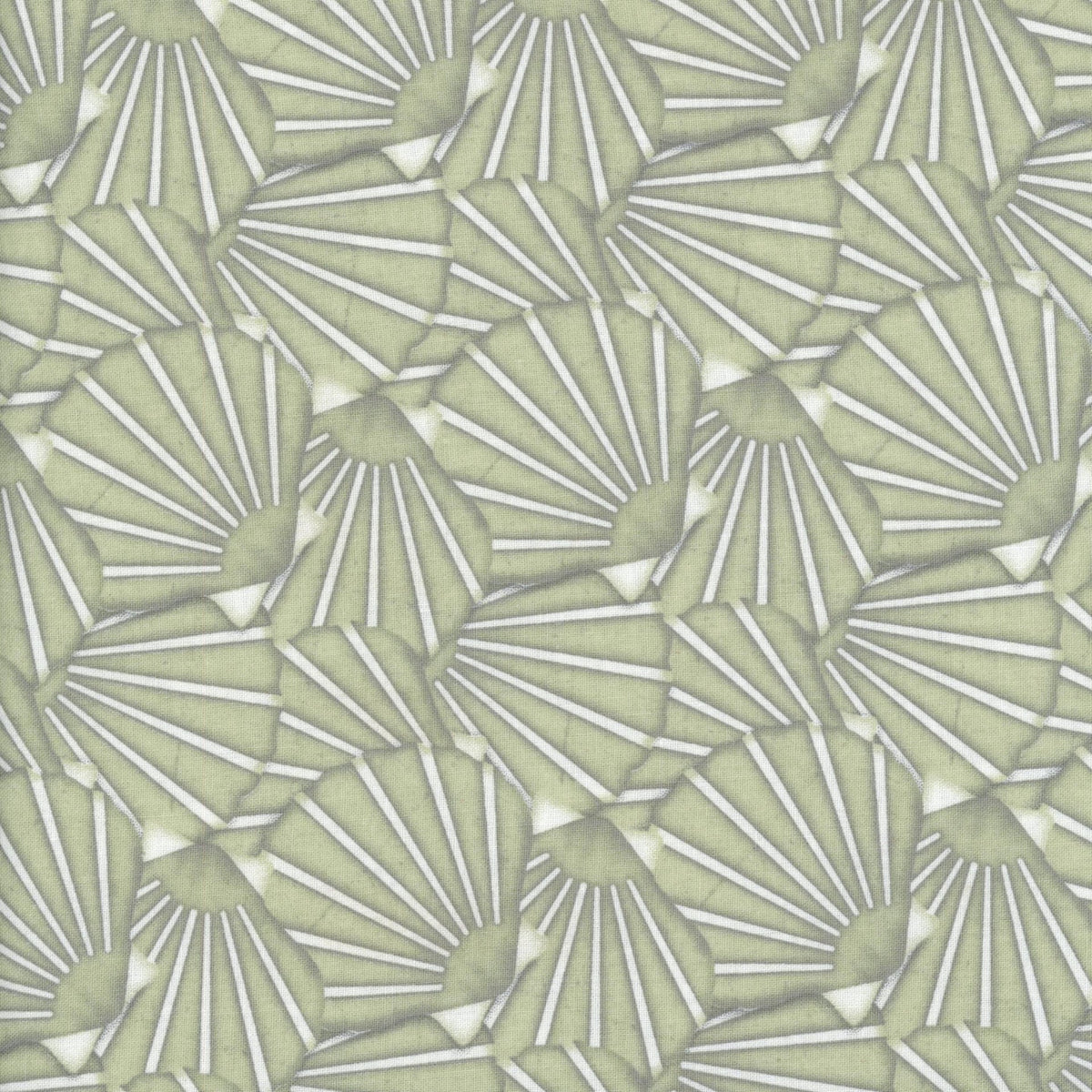 Tidepools